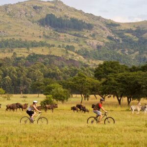 Mlilwane Swaziland eswatini mountainbike cycling wildlife safari adventure africa