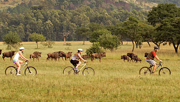 Mlilwane Swaziland eswatini mountainbike cycling wildlife safari adventure africa wild nature