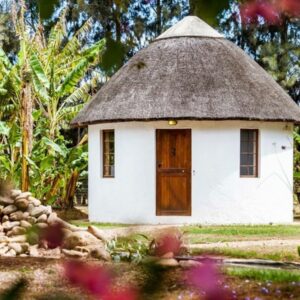Stay at a hidden B and B that use to be farm that has a beautiful garden that has different types of fruits, vegetables, and plants