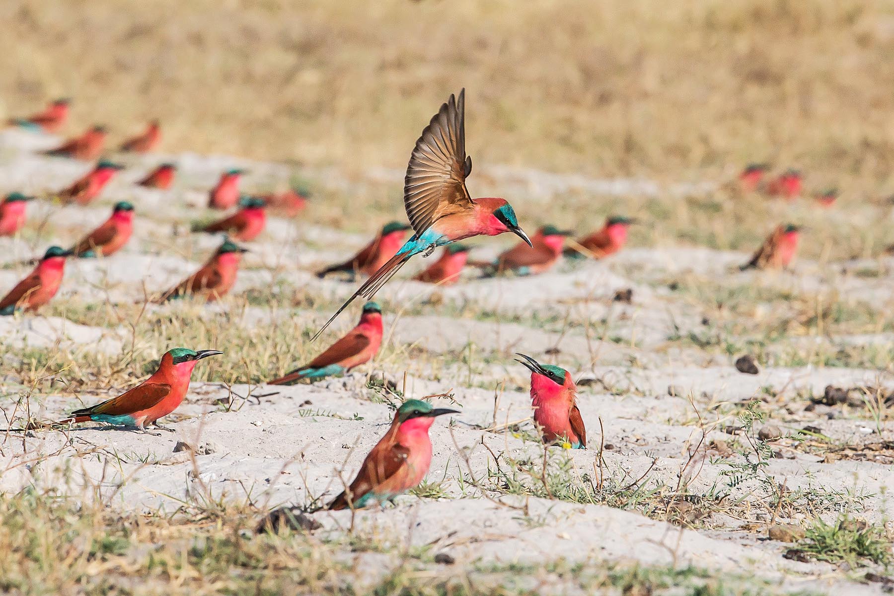 An excellent getaway with family and friends to Chobe, Victoria Falls or Caprivi.
