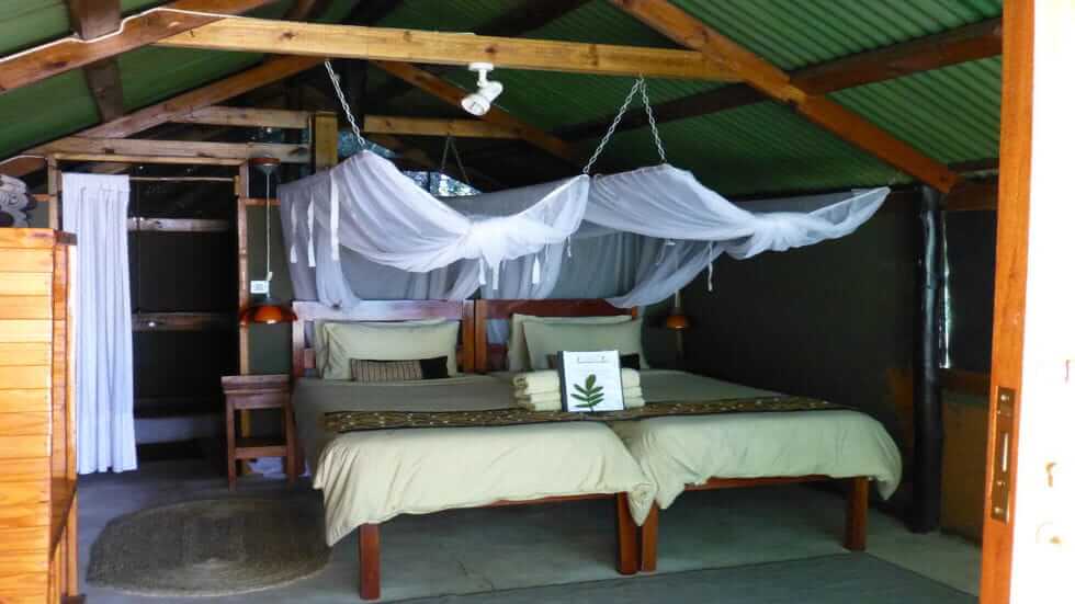 Guma Lagoon fishing birds birding okavango delta panhandle botswana safari adventure comfort basic accommodation camp chalet camping bed