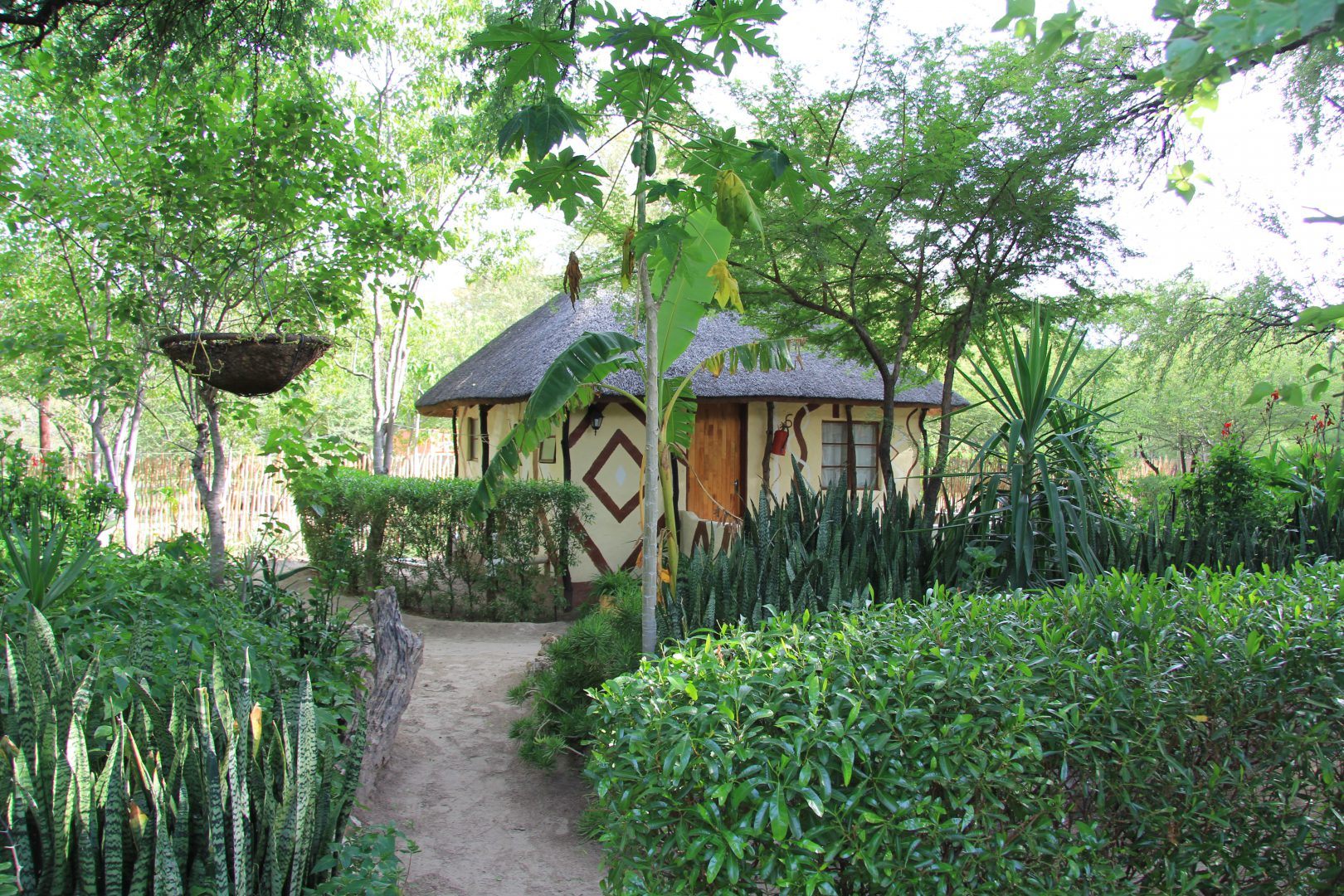 Discovery bed breakfast accommodation hideaway maun botswana okavango budget affordable comfort cosy