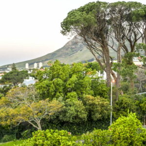 Holiday awe-inspiring tour to the towering headland known as ‘Cape Point