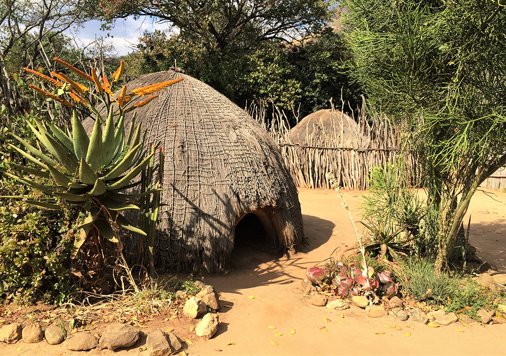 A eSwatini guided adventure that includes mountain biking, bird spotting and wildlife parks