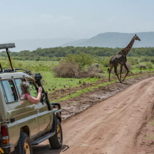 A shallow alkaline lake that shimmers in a cleft in the Great Rift Valley, Lake Manyara National Park consists of a thin green band of forest which makes it the ultimate spoil if you’re celebrating an anniversary