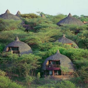 Sothern and Northern Tanzanian safari trips to vibey and cultural locations such as Arusha