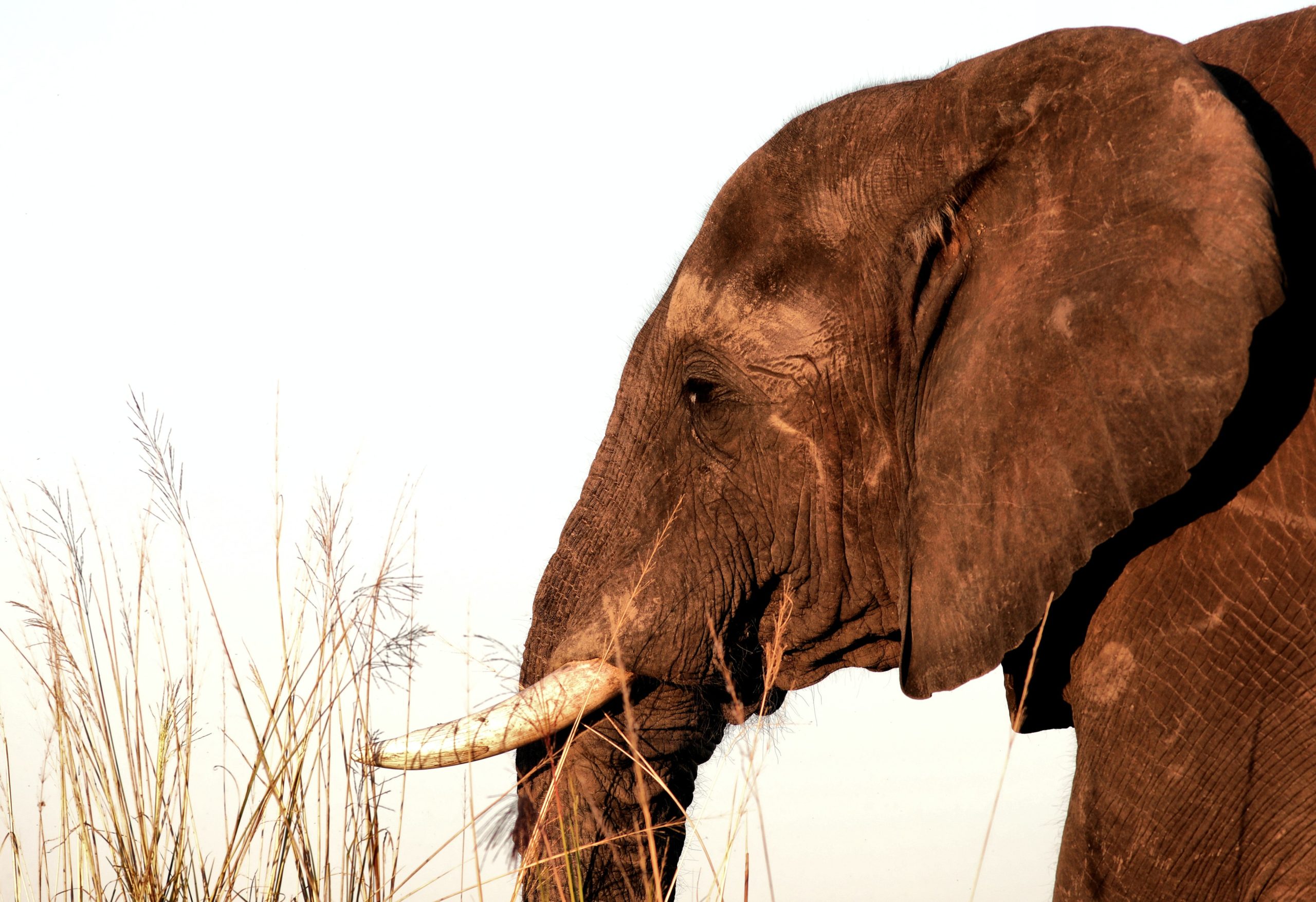 An 8-day holiday that includes a guided safari and bike township tour you won’t forget