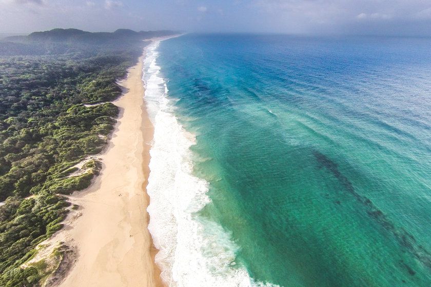 See the world’s largest marine mammal on an African Hideaways trip to iSimangaliso Wetland Park