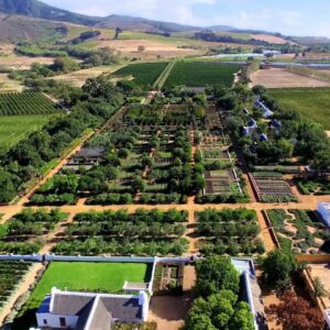 End the day off at Vrede en Lust Wine estate, where you will enjoy a private cooking class @ the Lust Bistro in the historical Manor House