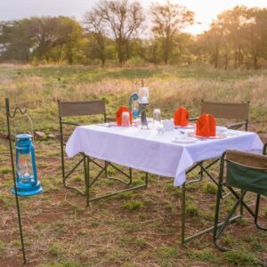 Enjoy an afternoon game drive through the Serengeti when on safari in Tanzania