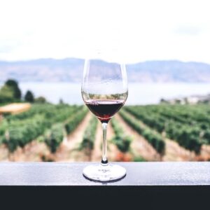 Enjoy wine tasting and lunch while on route to your holiday accommodation