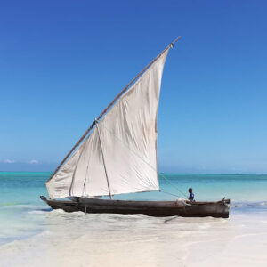 Experience the beautiful Minai Bay Conservation in a traditional hand built wooden dhow