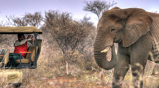 Explore Berlin Falls and stay at a family-owned accommodation when on holiday in Africa