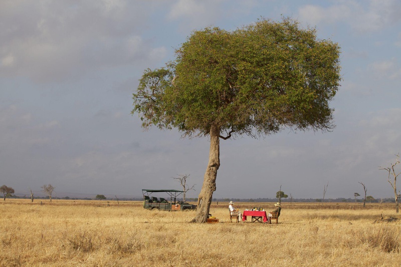 Dar es Salaam is a vibrant costal city that is the perfect holiday destination
