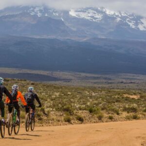 Cycle the Rongai Forest and get to see the black-and-white colobus monkeys on your African safari