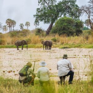 Get up close in the wild when visiting the world-famous Serengeti National Park