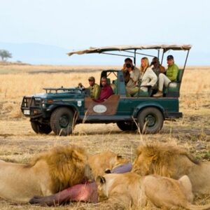 Visit Mikumi National Park that’s 5 hours away from Dar es SalaamTanzania’s largest city