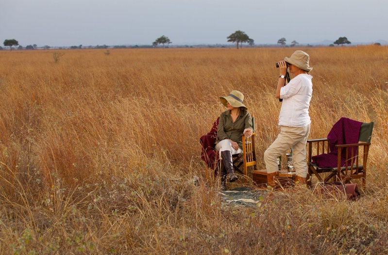 A tailor made customisable trip to Ruaha National