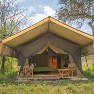 Stay under the stars with a Serengeti savannah boutique walk-in tent
