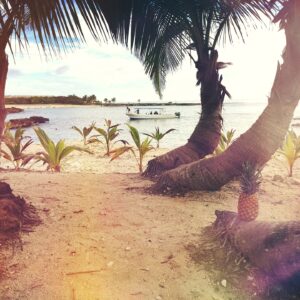 Get to explore the beach villages of Zanzibar before heading for lunch at Mr Kahawa