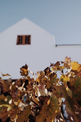 This short trip is a delight for all your senses experience food, wine & fauna on this getaway adventure