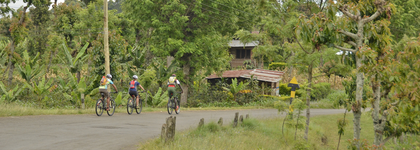 Tailor made holiday packages that are suitable for couples or large groups