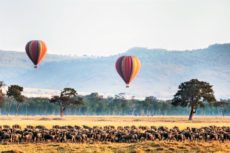 Serengeti hot air balloon wildebeest migration Ruaha