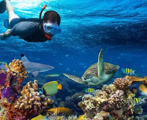 A 6 day rejuvenating beach holiday where you get to snorkel and get to touch the marine life