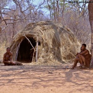 A unique safari travel into Bushman land and enjoy a night under the stars