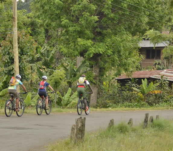 Mountain bike along the coastal beach of Zanzibar with colleagues or family