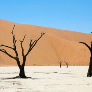 African Hideaways group tours where clear blue skies contrast Sesriem, at the foot of a ridge of 20-million-year-old fossilised sand dunes