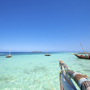 Experience the ultimate hideaway and enjoy the idyllic beaches of Zanzibar on this magical trip