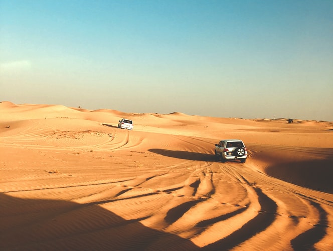 Holiday accommodation oasis amongst the harsh heat of the Kalahari Desert