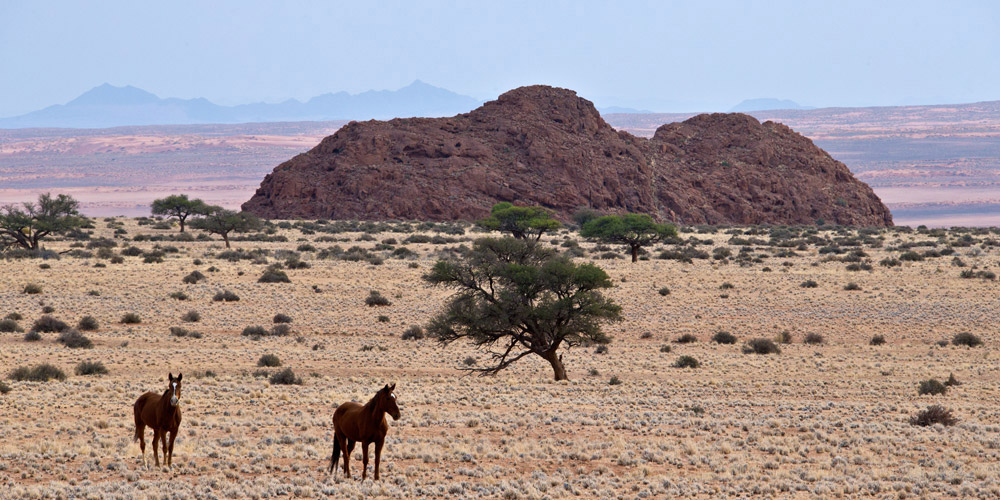 Namibia’s wild and remarkable landscape, will leave your breathless which makes it the ultimate spoil if you’re celebrating an anniversary.