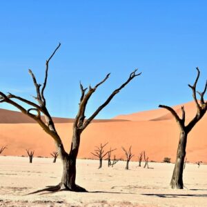 An African adventure that covers areas such as Fish River Canyon and Etosha National Park to name a few