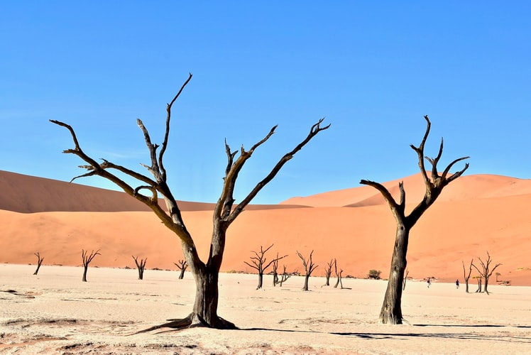 An African adventure that covers areas such as Fish River Canyon and Etosha National Park to name a few