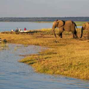 Stay at a lodge located at the banks of the Kavango River perfect for a family or honeymoon vacation