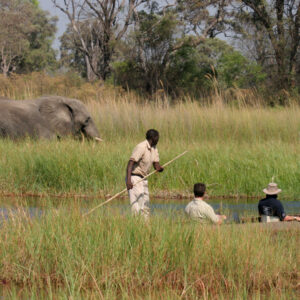 Take a group tour and visit the friendly rural village of Khwai