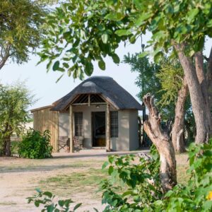 Take part in walking safaris and night drives at the Moremi Game Reserve on a group tour in Africa