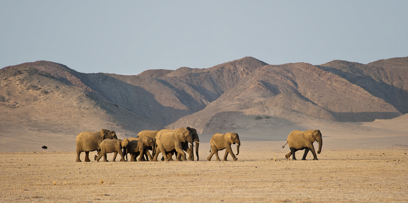 The natural wonder of Fish Canyon makes it the perfect holiday destination