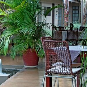 Visit Joe’s Beer house on your 12-day holiday one of Africa’s famous pub and restaurants