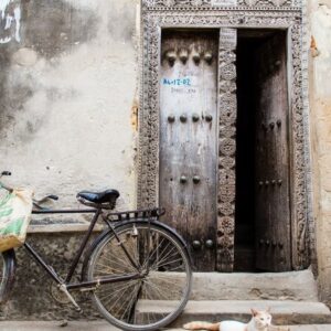 Drive through a profusion of greenery in the countryside before exploring Zanzibar’s Stone Town