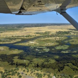 Be surrounded by thousands of Zebras and Antelope on your African Group Safari