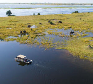 An African holiday that is teeming with wildlife includes lions, cheetahs, buffalo, wildebeests, hippopotamuses, zebras, wild dogs