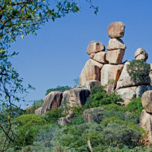 Enjoy day trips where you get to capture moments of Botswana you can cherish forever