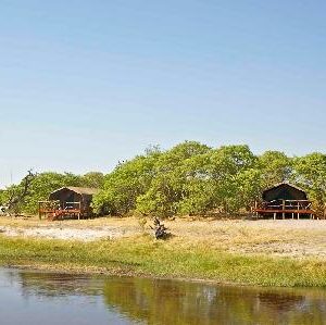 Chobe National Park has abundant wildlife including elephants, antelope, lion prides, kudu, hyena, cheetah, Cape buffalo herds, and thousands of migrating zebra and wildebeest