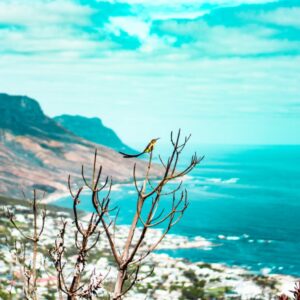 Experience a guided inner-city cycle tour with an African Hideaways holiday trip
