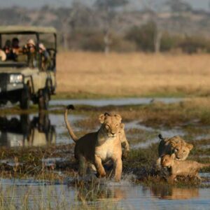 Experience the full splendour of Africa at an affordable rate boasting one of the greatest concentrations of animals in Southern Africa