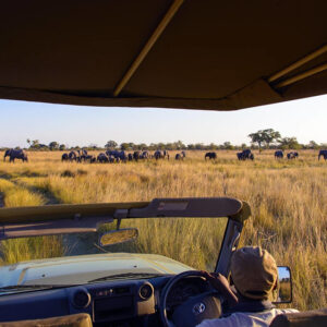 Family and honeymoon vacations where you get to visit the Living Museum that overlooks the Kwando River