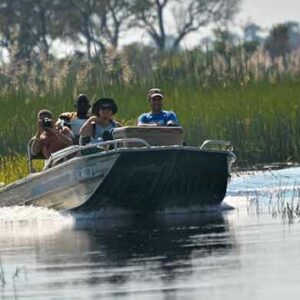 Group tours in Africa discover herds of buffalo, wildebeest and zebra and the varied terrain & diverse ecosystem the Okavango Delta has to offer